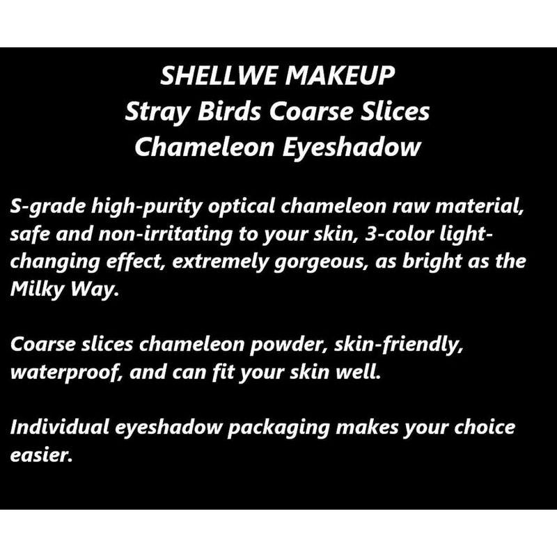 SHELLWE MAKEUP - Stray Birds Coarse Slices Chameleon Eyeshadow - 4-6