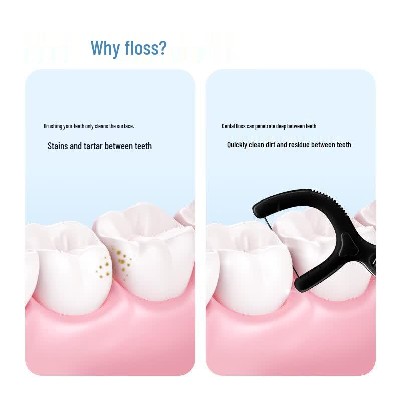 Xiaolu Mama Bamboo Charcoal Dental Floss Picks