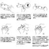 FOR W230 W400 W650 W800 W800 Motorcycle Instrument Film Anti-Scratch Explosion Clear Protective Film (2)