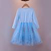 Frozen Elsa Princess Autumn Dress: 2021 Girls' Long Sleeve Mesh Skirt
