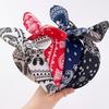 1pc New Simple Retro Fashion Paisley Flower Bow Rabbit Ear Wide Bright Color Fabric Headband Bundle for Women Hair Accessories
