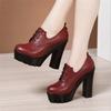 Women Pumps Shoes Deep Mouth Pointed Toe Leather Shoes Spring Autumn Black High Heels Fashion Lace Up Office Shoes Ankle Boots