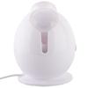 Compact Nano Hot Mist Facial Steamer CN Plug (adapter Included)