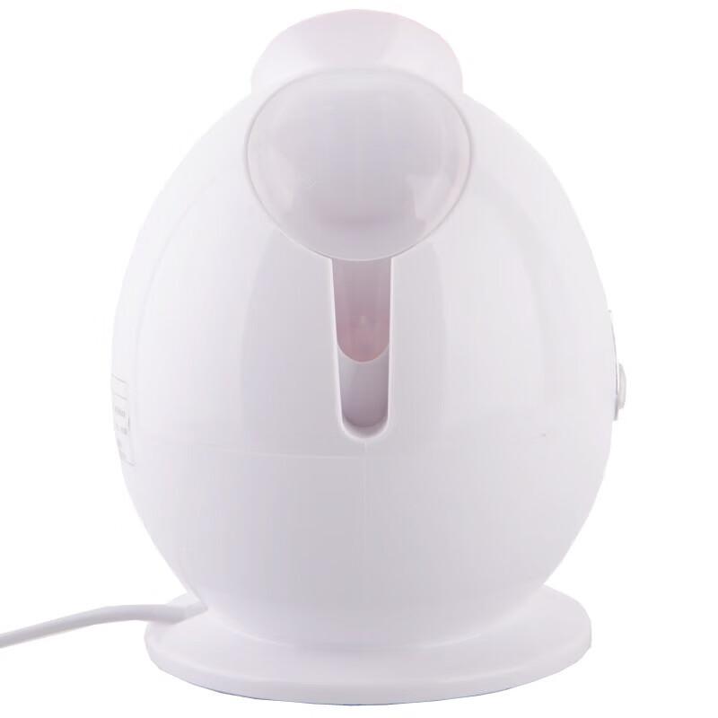 Compact Nano Hot Mist Facial Steamer CN Plug (adapter Included)