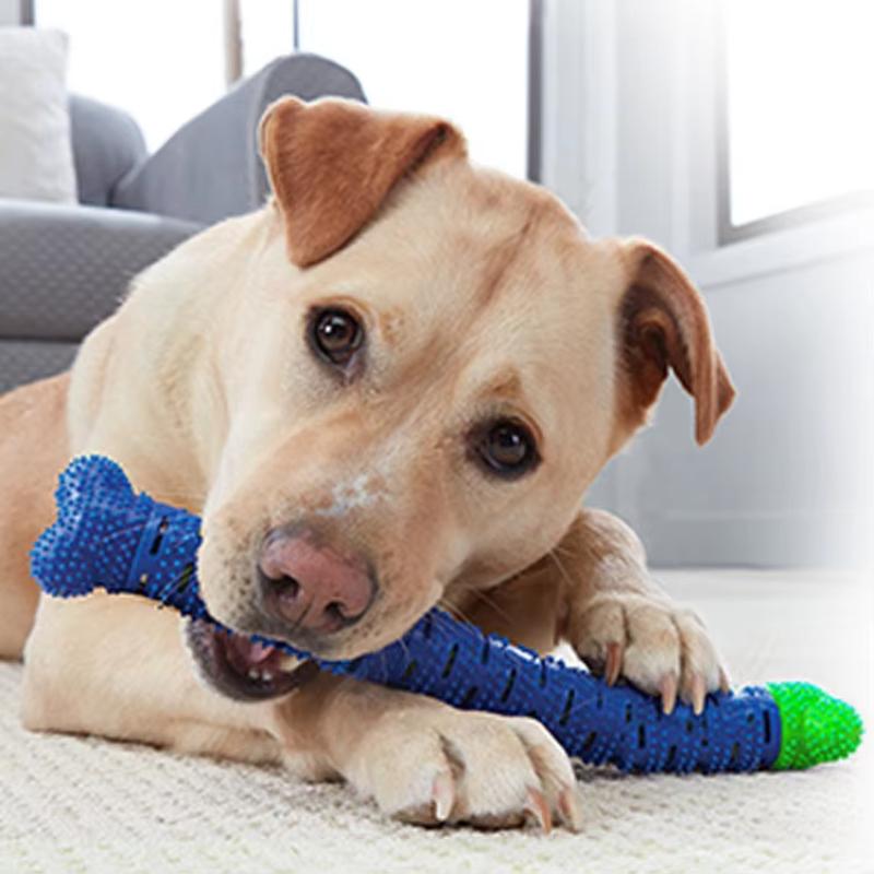 Pet Teeth Grinding Rod Detachable Dog Simulation Bone Shape Toy Cat and Dog Bite Training Teeth Cleaning Interactive Bite Resistant Pet Supplies