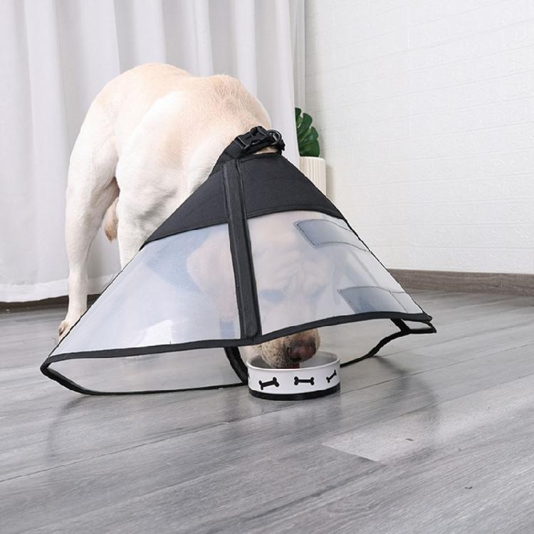 Comfortable Cats Cone Collar for Post Surgery Recovery and Wound Protections