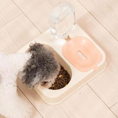 Perros – Proveedores de agua y alimento