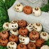 20pcs Resin Mini Halloween Pumpkin Miniature Halloween Decoration Fairy Garden Home Ornament DIY Craft Ornaments Decoration