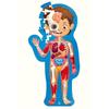 Puzzle du corps humain - HAPE - Anatomie éducative - 50 pièces - Affiche double face