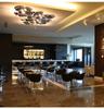 Modern Designer LED Ceiling Lamps for Living Dining Room Nordic Luxury Villa Loft Study Bedroom Indoor Home Decor Ceiling Lights