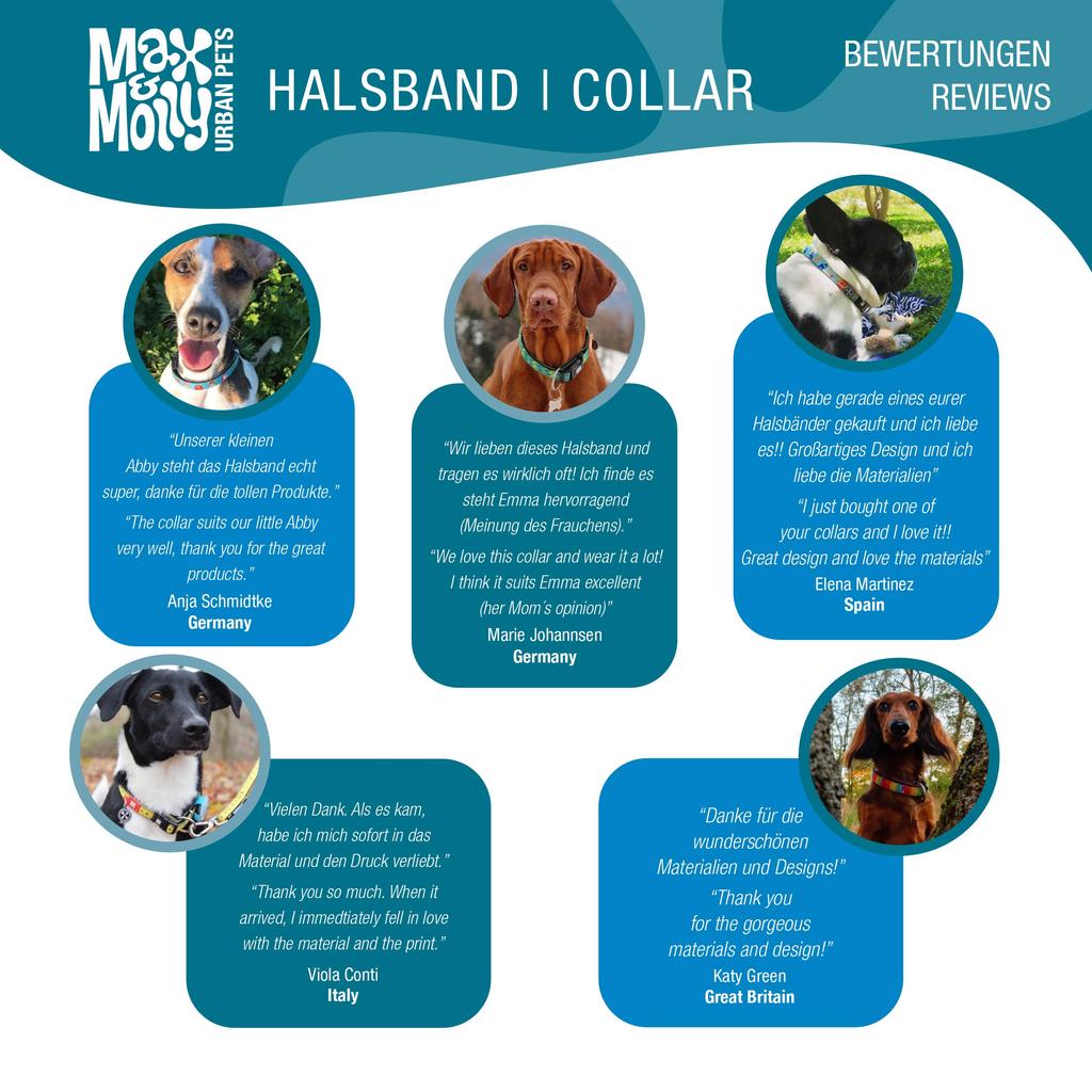 Max Molly Smart ID Dog Original Gear Size Large & M&M Collar, Hero,