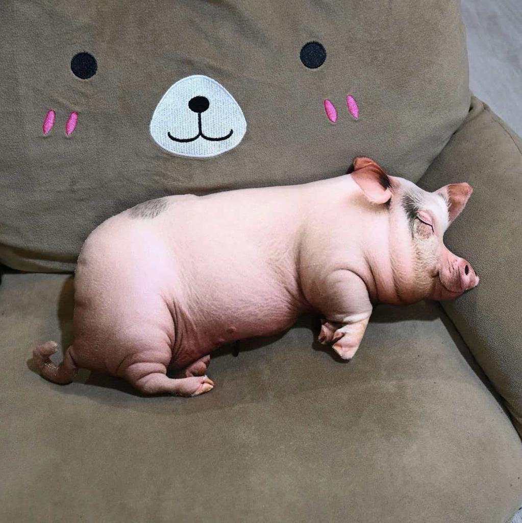 In Stock Cute Lifelike Simulation Pig Plush Toy Soft Sleeping Pillow Holiday Gift For Close Friends Home Sofa Decor Cushion