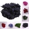 Artificial Plant Preserved Flower Reindeer Moss DIY Craft Garden Home Decor