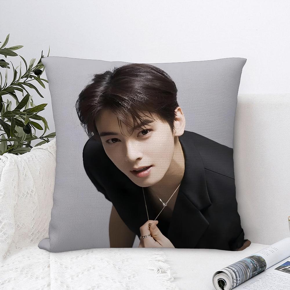 Kpop Singer Cha E-Eun W-Woo Pillow Case Plush Fabric Soft  Pillowcase Double Sided Print   Cushion Cover Throw Pillow Cover