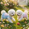 Korean Sweet Dog Princess Dress Lace Strap Dog Puff Skirt Pet Lace Dress  Outdoors Activities