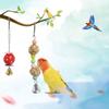 Parrot Toy Kit Bird Toy Accessories Bird Cage Toy For Parrots Birds Swing Chewing Bird Toy Parrot Bite Toy