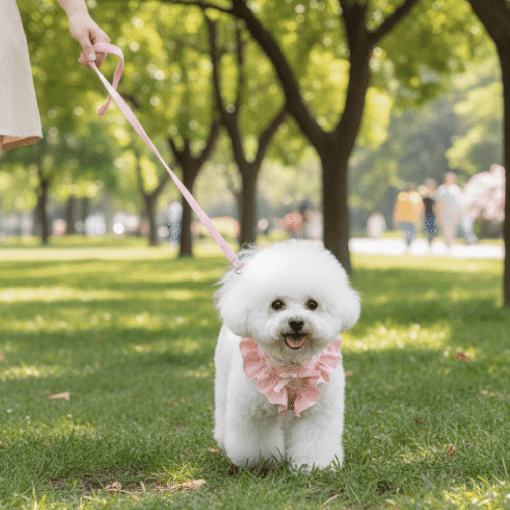 Adjustable Dog Harness and Leash Breathable Comfortable Dog Chest Strap Flower Pattern Escape-Proof Cat Harness Vest Daily Use