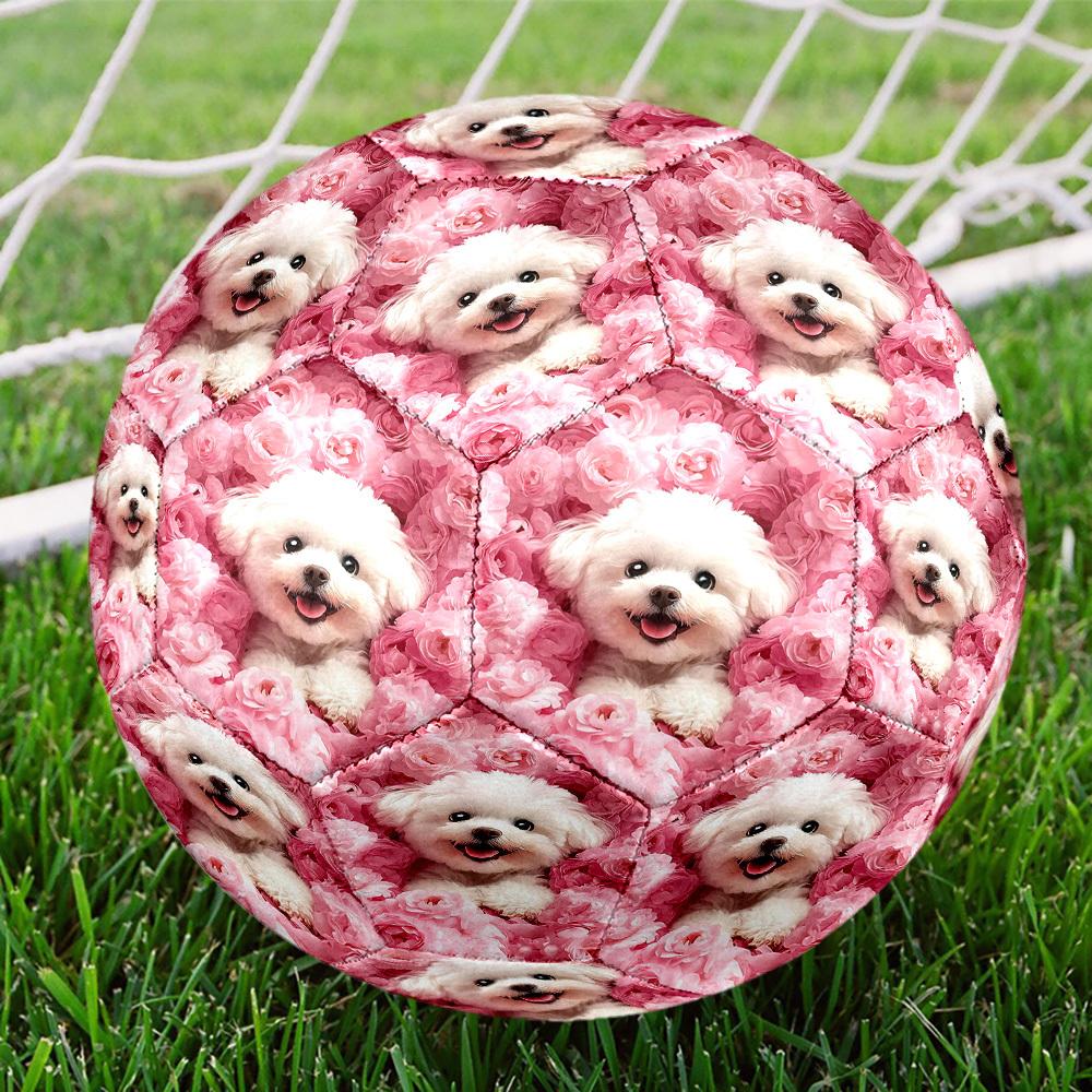 1pc Pink Roses Pup Theme Soccer Ball Football, Size 5, Lightweight PVC, Outdoor Training Soccer Ball,Gift J61419