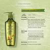 Schwarzkopf Ginger Essence Oil Control Shampoo & Conditioner Set