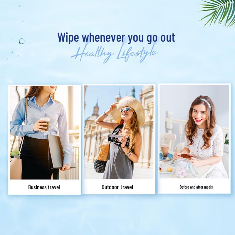 Tempo Antibacterial Wet Wipes