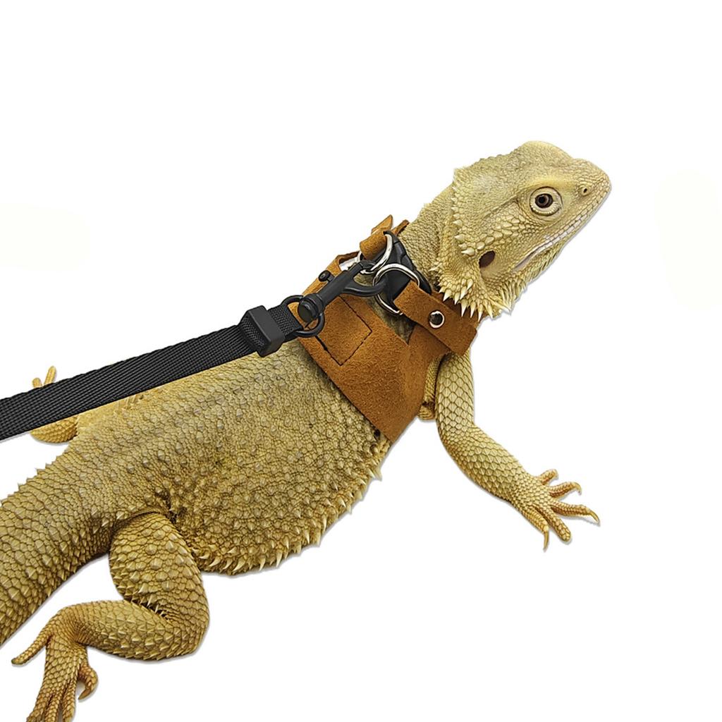 Abnehmbares Geschirr mit Leine für Echsen, Eichhörnchen, Reptilien, Brustgurt zum Spazierengehen für Bartagamen, Chamäleons, Frettchen