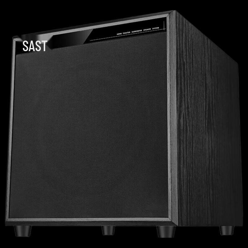 SAST WD-10 Home KTV 12-inch Active Subwoofer CN plug (adapter included) (CN version)