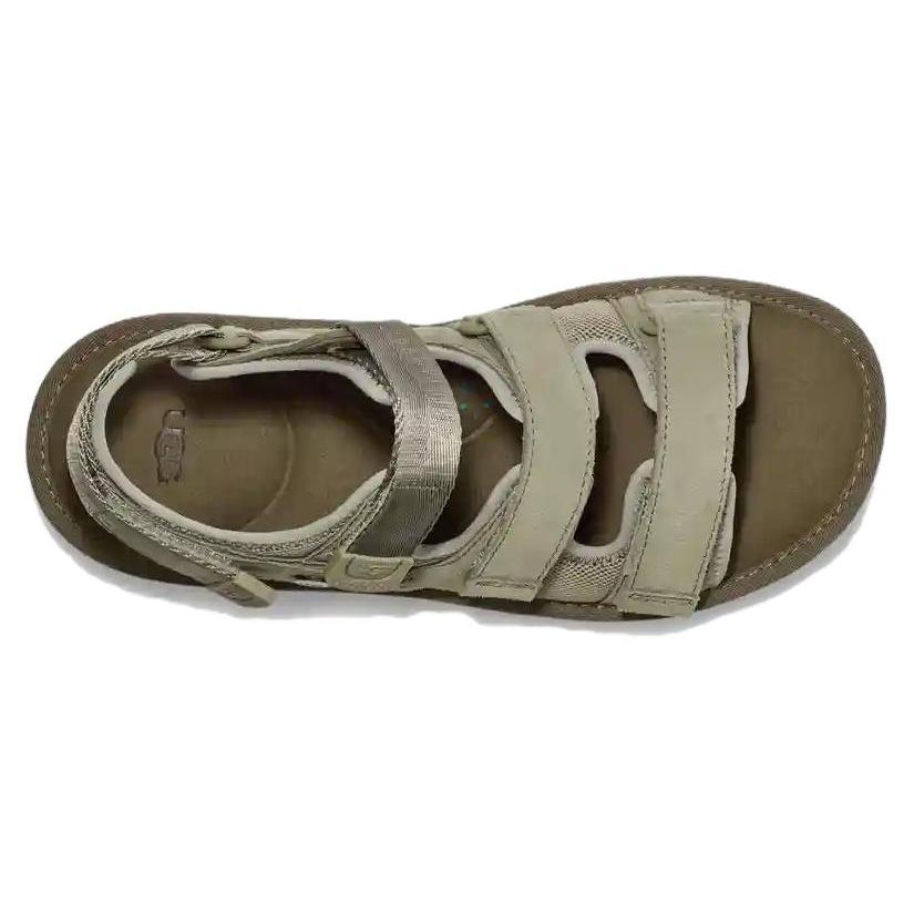 UGG Goldencoast Multistrap Sandal Shaded Clover 1153095-SDC