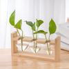 Wood & Glass Hydroponic Bottle - Simple Modern Home Decor