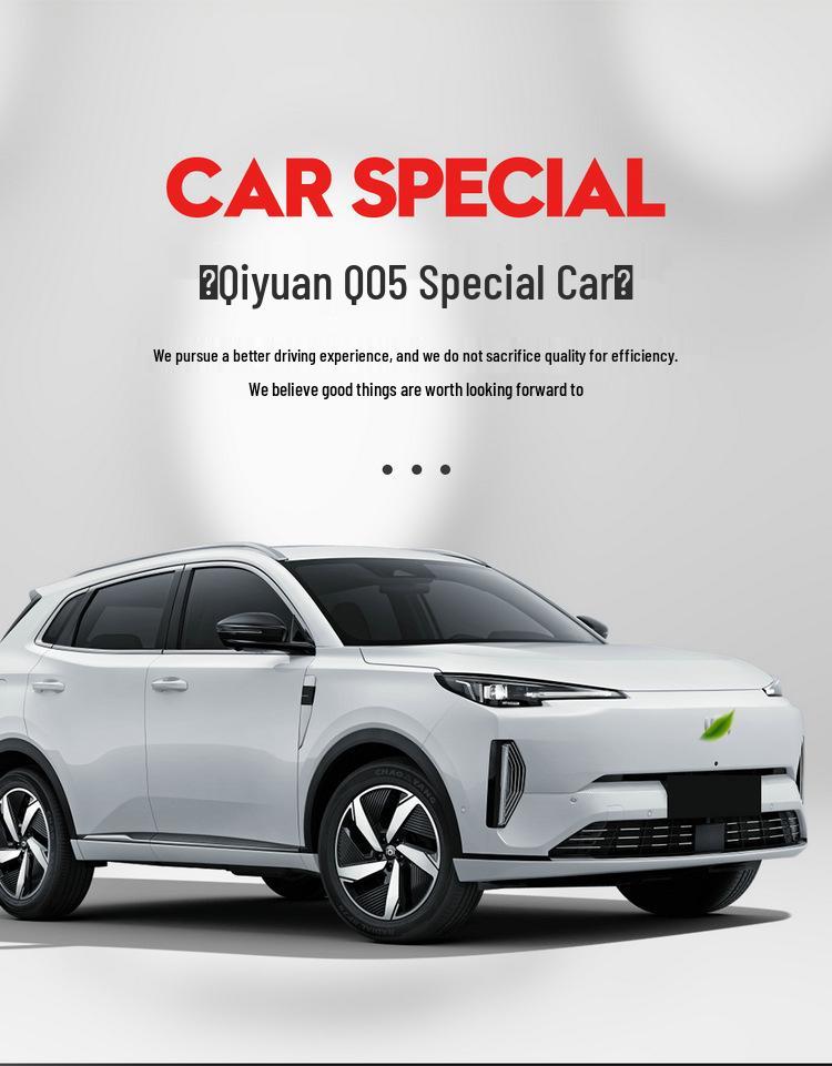 Qiyuan Q05 Universal Leather Car Seat Cushion - Four Seasons Compatible