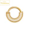 G23 Titanium Nose Rings Hinged Septum Clicker Segment Ear Tragus Cartilage Helix Daith Lip Body Piercing Jewelry Golden Earrings