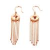 Orecchini con nappa e perline rotonde, stile lucido e delicato, per donna, orecchini squisiti eleganti, alla moda, fidanzamento, Zircone, regalo