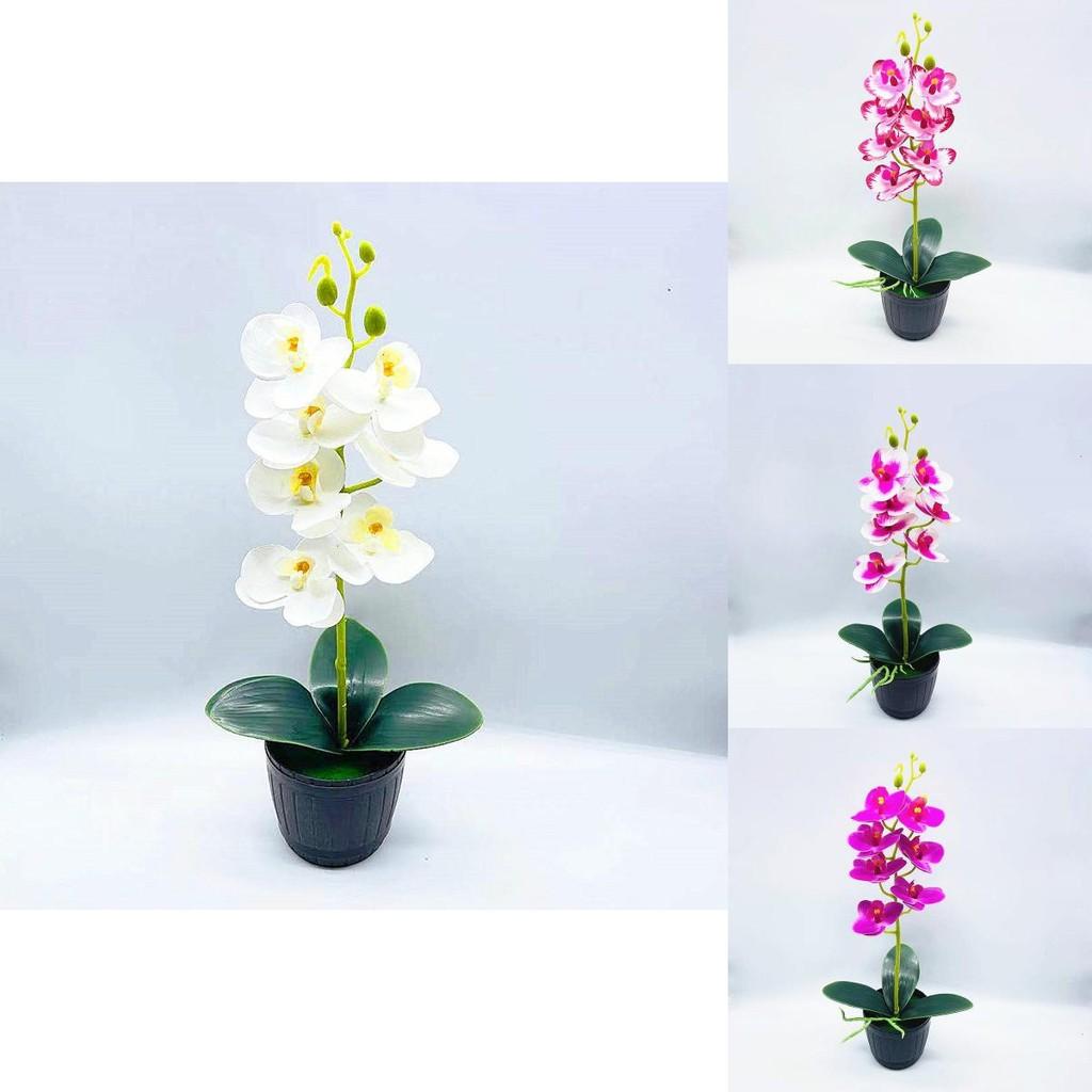 Butterfly Orchid Artificial Flower Arrangement With Realistic 3d Printing For Gift Ideas