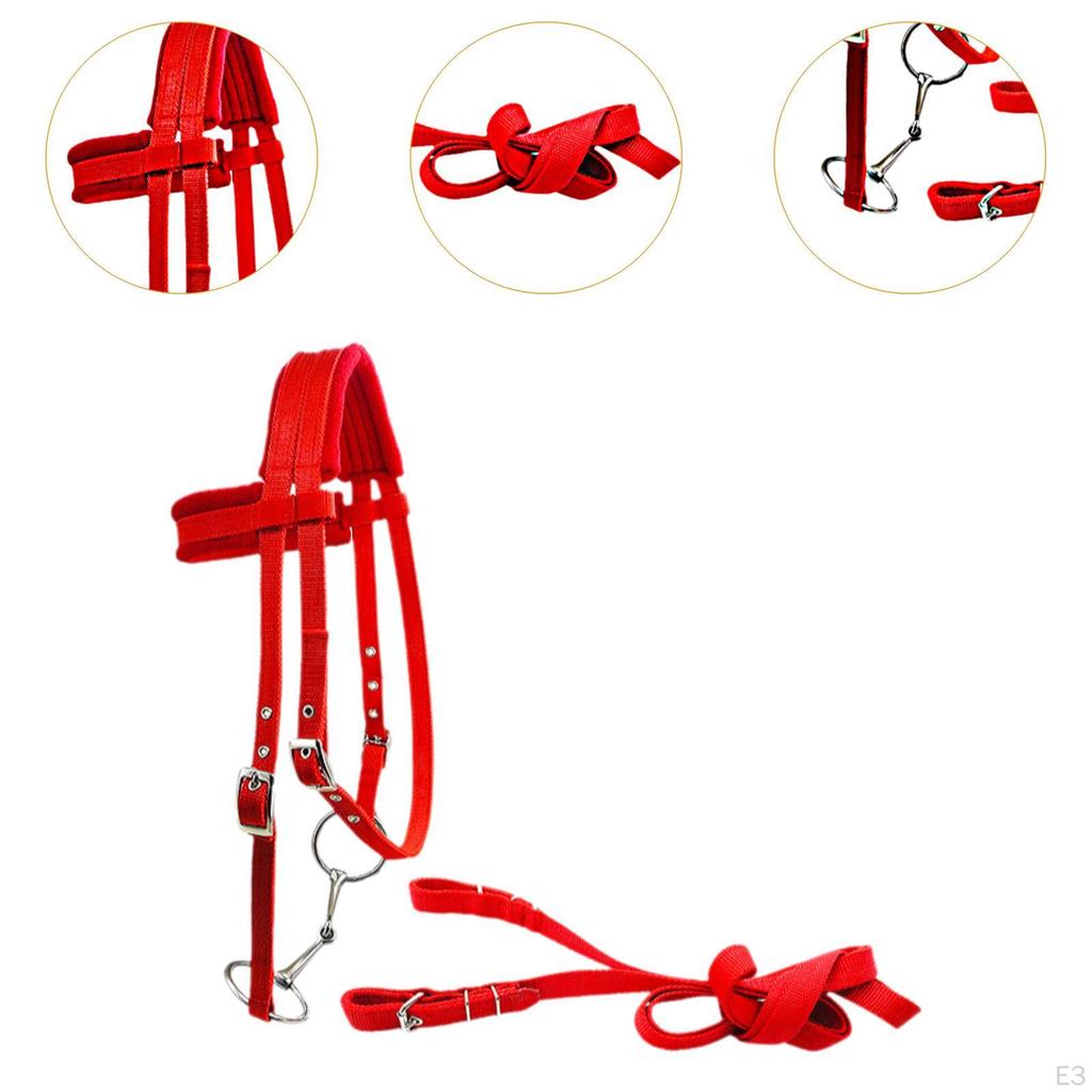 Horse Bridle with Rein And Leading Rope Equestrian Gear for Comfortable Use