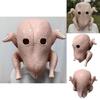 Latex Chicken Mask For Halloween And Festival Celebrations With Funny Design