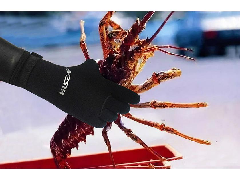 Guanti da Immersione Antiscivolo e Antifreddo Hisea - Caldi, Antigraffio, Attrezzatura Sportiva per Snorkeling