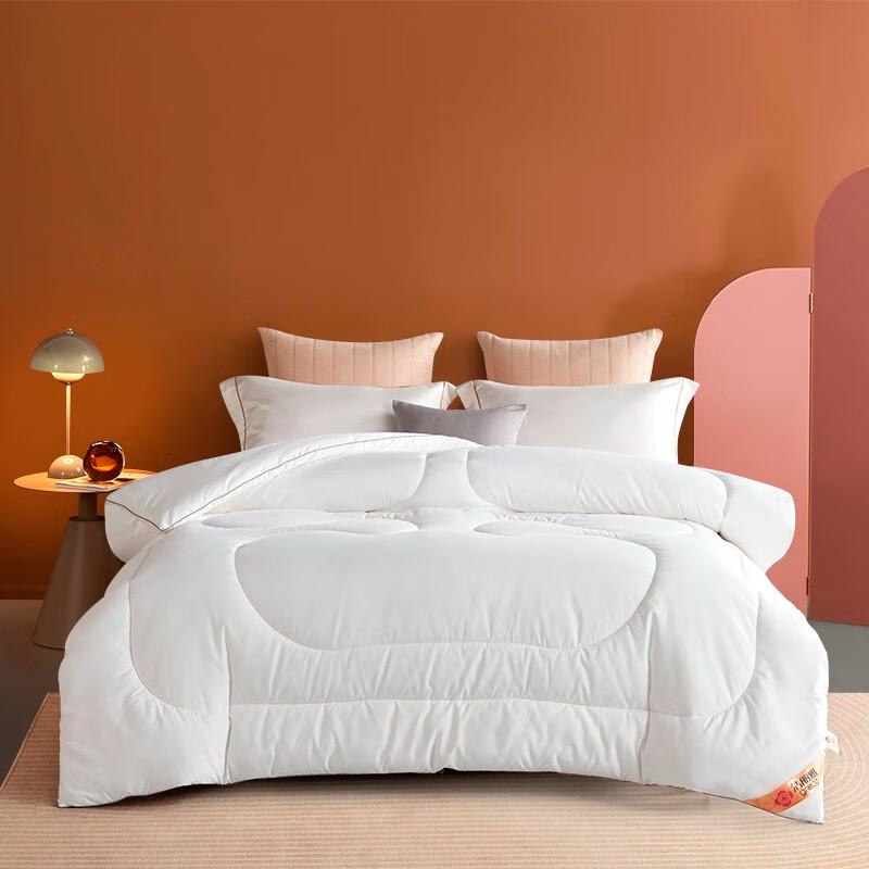 

Jeliya Cloud Antibacterial Skin-Friendly Quilt