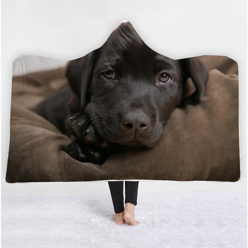 dog blankets for sofa