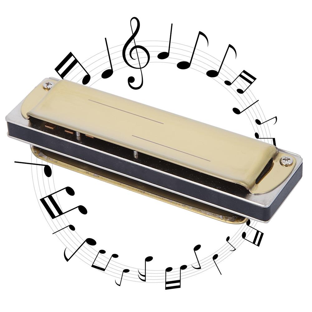 10-Loch Mundharmonika Blues F-Dur Harp Wind Musikinstrument Anfänger Übung KS-10BHGold