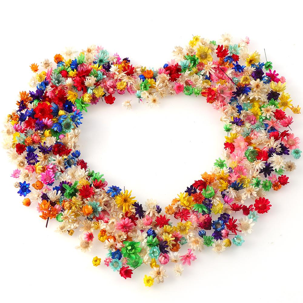 Natural Star Flower DIY Wreath Filler for Wedding Decorations