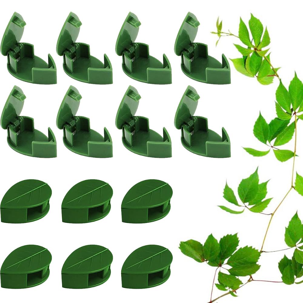 

Главная Невидимый держатель Поддерживающие зажимы для вьющихся растений Виноградная лоза Тяговый кабель Зажим Настенное крепление 50Pcs