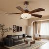 OEING 47-inch 5-Blade Eye-Protection Smart Ceiling Fan Light