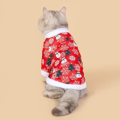 Kedi – Kediler için giyim