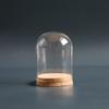 2Pieces Mini Glass Dome Display Stand with Cork Base Glass Cloche Bells Jar for Collectibles and DIY Crafting Decoration