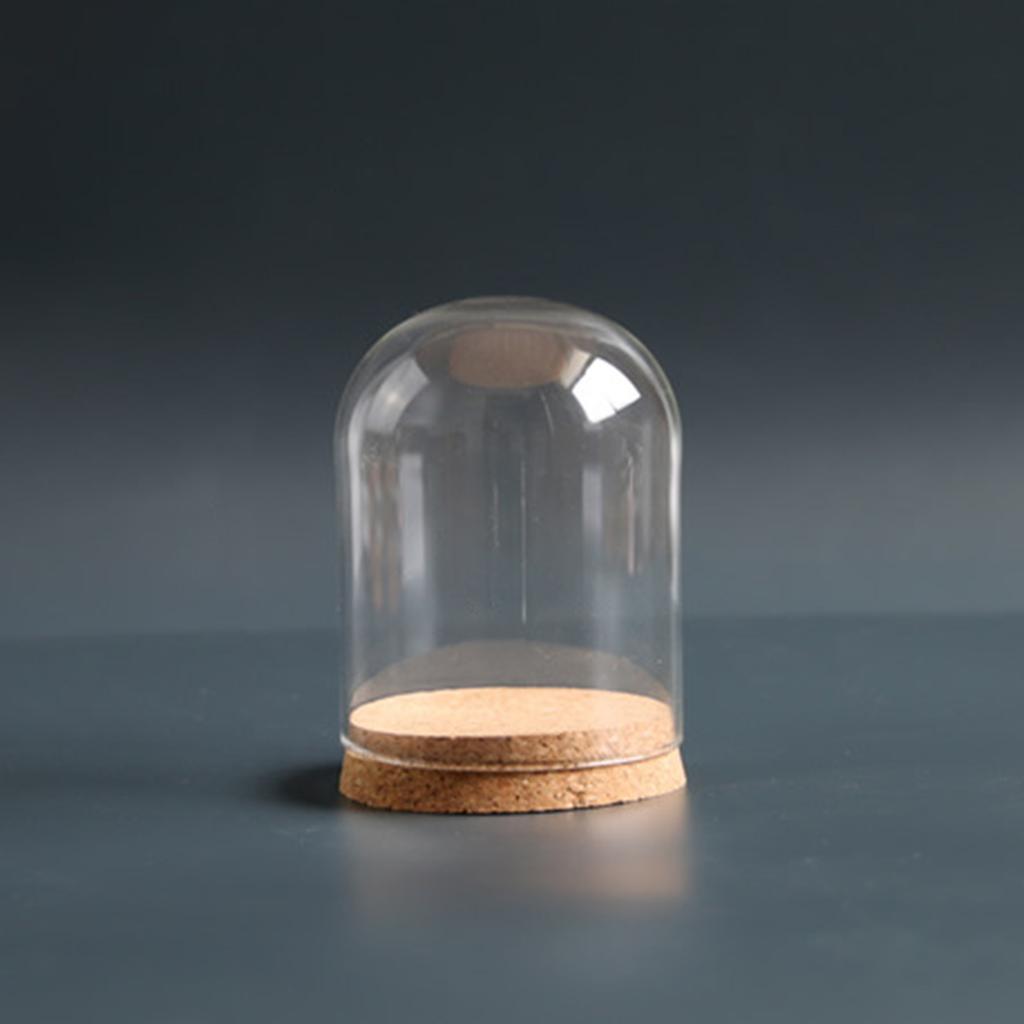 2Pieces Mini Glass Dome Display Stand with Cork Base Glass Cloche Bells Jar for Collectibles and DIY Crafting Decoration