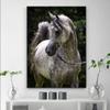 Modernes weißes arabisches Pferd, Leinwandgemälde, Wandkunst, Bilder, Tierposter und Drucke für Wohnzimmer, Heimdekoration, Cuadros