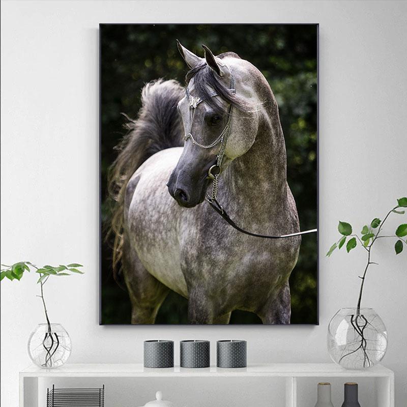 Modernes weißes arabisches Pferd, Leinwandgemälde, Wandkunst, Bilder, Tierposter und Drucke für Wohnzimmer, Heimdekoration, Cuadros