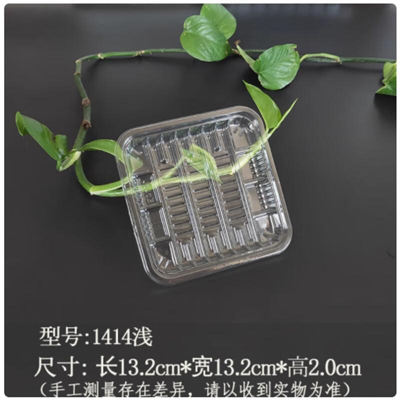 Saintbell Disposable Fresh Food Trays