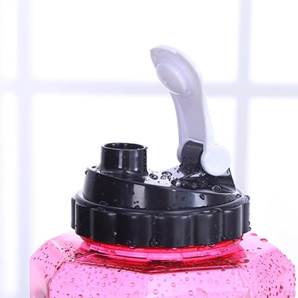 Companion for Fitness Enthusiasts