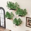 Wall-Mounted Scratching Tree In Tree Shape Made of Solid Pine Wood, with Scratching Surface & Platforms, Decorative & Stable, 155×210 Cm