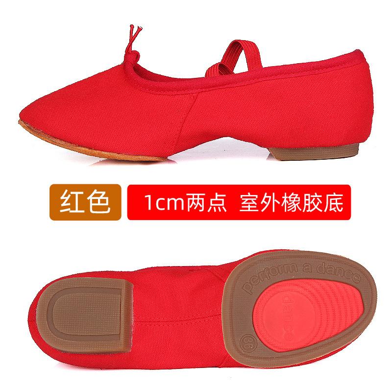 

Fashion Professional Dance Shoes Women Soft Sole Latin Belly Dance Shoes Mid Heel for Adults Outdoor Rubber Sole 34